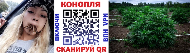 Канабис Сафоново