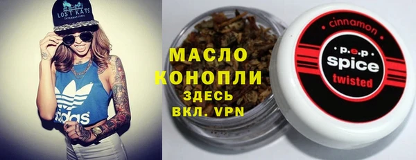 меф Дмитриев