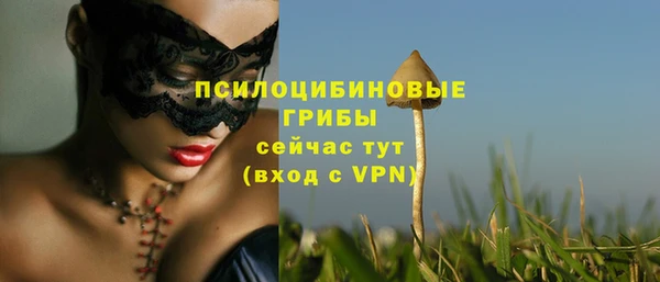 меф Дмитриев