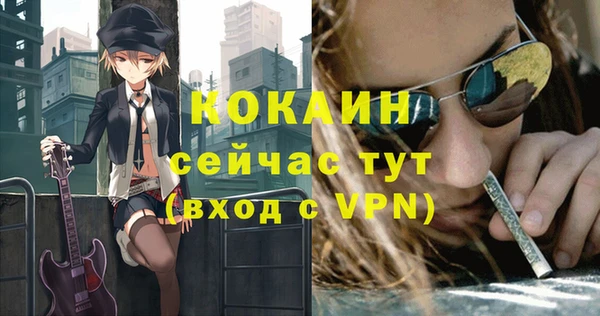 мдпв Дмитровск